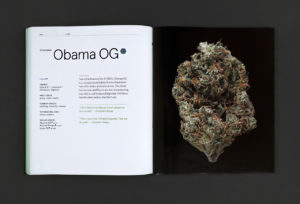 Green A Field Guide to Marijuana Obama OG